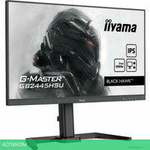 Игровой монитор Iiyama G-Master Black Hawk GB2445HSU-B1