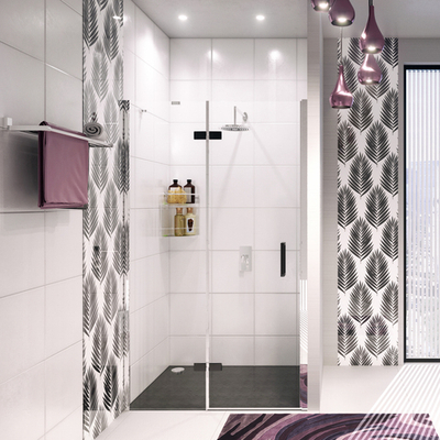 Aller 10H05LBLACK Душевая дверь