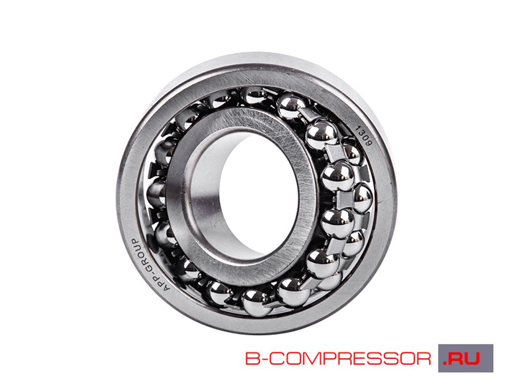Подшипник 1309