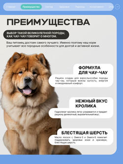 Корм сухой для собак породы Чау-чау, с кроликом, 3 кг, QUATTRO