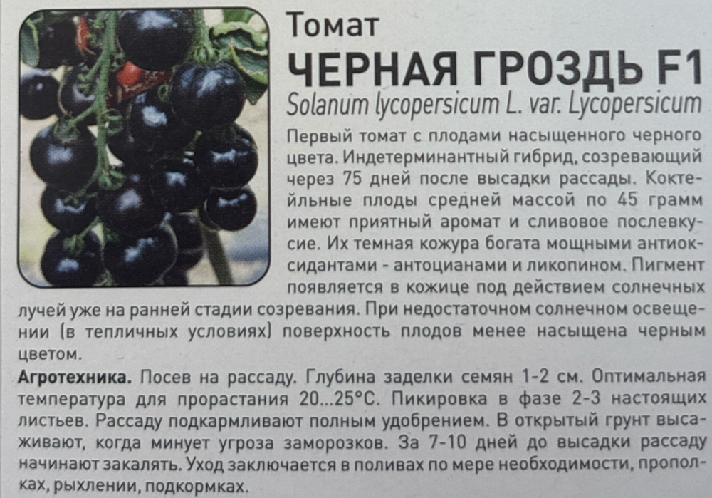 Томат Черная гроздь F1 10 шт СМТ-08