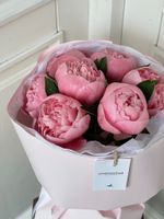 Букет 7шт пионов