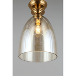 Подвесной светильник Aployt Rena APL.602.06.01