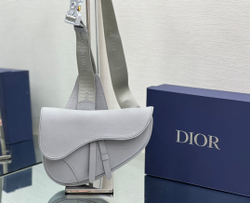 Christian Dior Saddle 26 cm