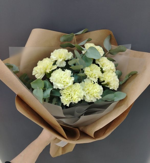 Гвоздики (диантусы)