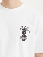 Мужская Футболка Crown Band