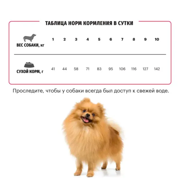 Сухой корм Karmy Sensitive Mini для взрослых собак мелких пород с чувствительным пищеварением, с лососем