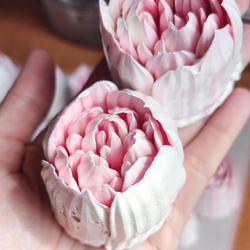 Насадка кондитерская большая SLBNO43 «Роза бархатная»