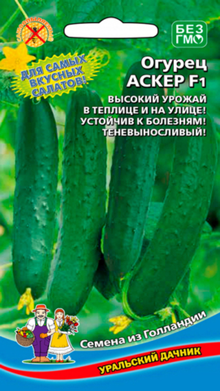 Огурец "G. Аскер F1" 8шт., Россия.