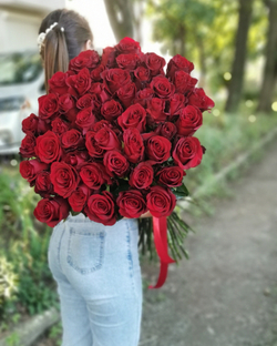 51 Красная высокая роза