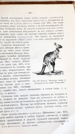 "Руководство зоологии. Для мужских средне-учебных заведений". Л. и В.Шимкевич. 1910 г.