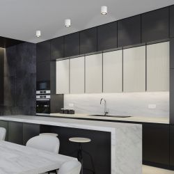 Светильник настенно-потолочный спот ЭРА OL48 WH/BK MR16 GU10 IP44 черный, белый