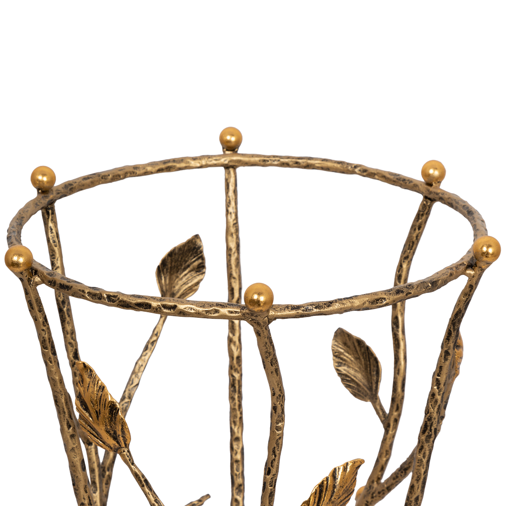 Зонтница Терра Амбер