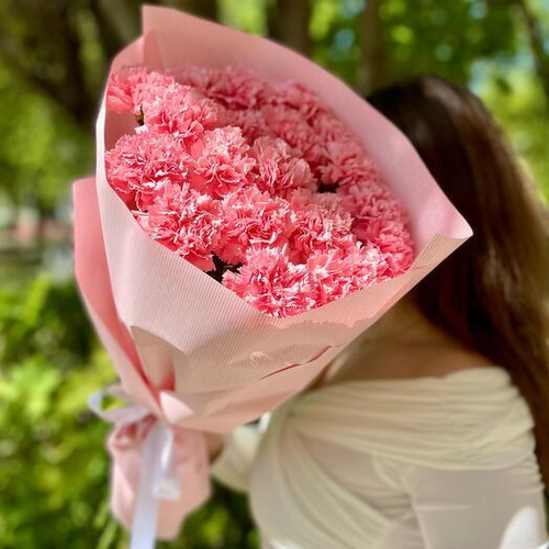 Монобукет из 19 розовых пышных гвоздик (диантусов). Монобукет 010 Chalet Green