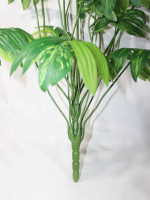 Искусственное растение Филодендрон Ксанаду 100см