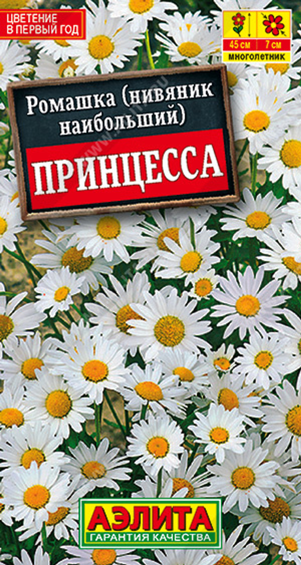 Ромашка садовая Принцесса