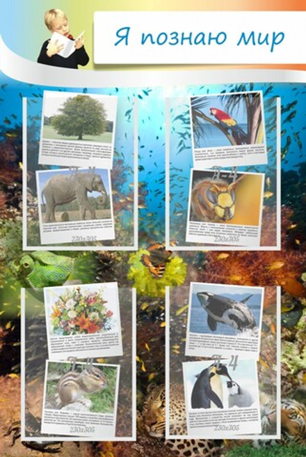 Стенд "Я познаю мир" с 4 карманами