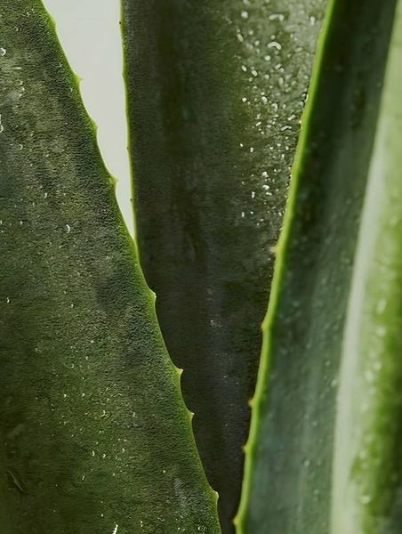 «Натуральный состав» — что это значит на самом деле