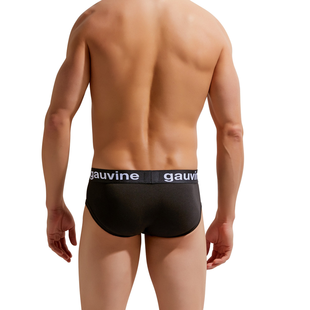 Мужские трусы брифы черные GAUVINE 2006