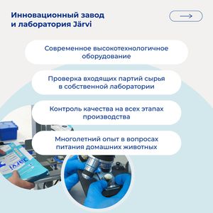 Уценка! Срок 25.08.26/ Сухой монопротеиновый корм Jarvi для взрослых кошек для здоровой кожи и красивой шерсти, говядина
