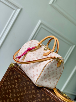 Louis Vuitton Speedy Soft 30