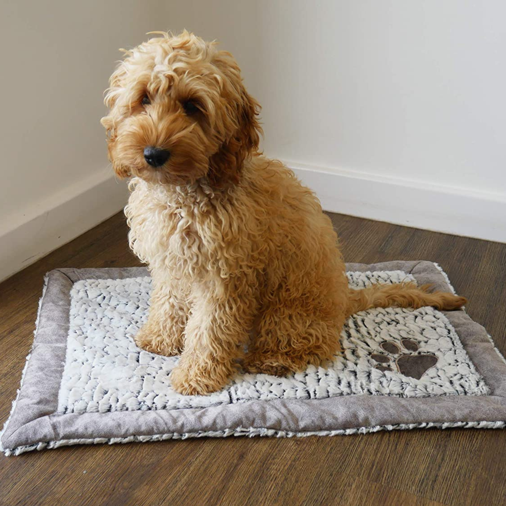 Лежак-матрас для животных "Люкс плюш с лапкой" Rosewood