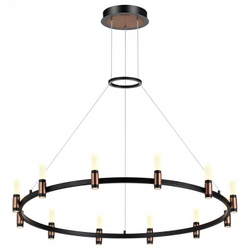 Подвесная люстра Odeon Light 5009/48L