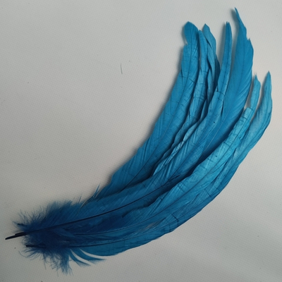 Перья петуха голубые 2 сорт 30 -35 см. за штуку
