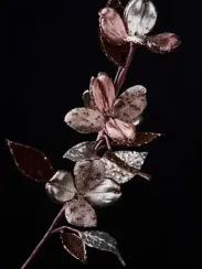 Ветвь Кизил 32х74 см., шампань, Christmas DeLuxe (88913)