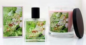 Great American Scents Цветы фруктовых деревьев