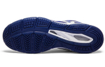 Mizuno Sonic Volleyball Shoes Unisex Low top Blue