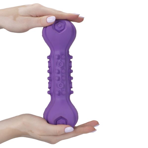 Игрушка Mr.Kranch для собак Гантель дентальная с пищалкой, 22 см фиолетовая с ароматом сливок