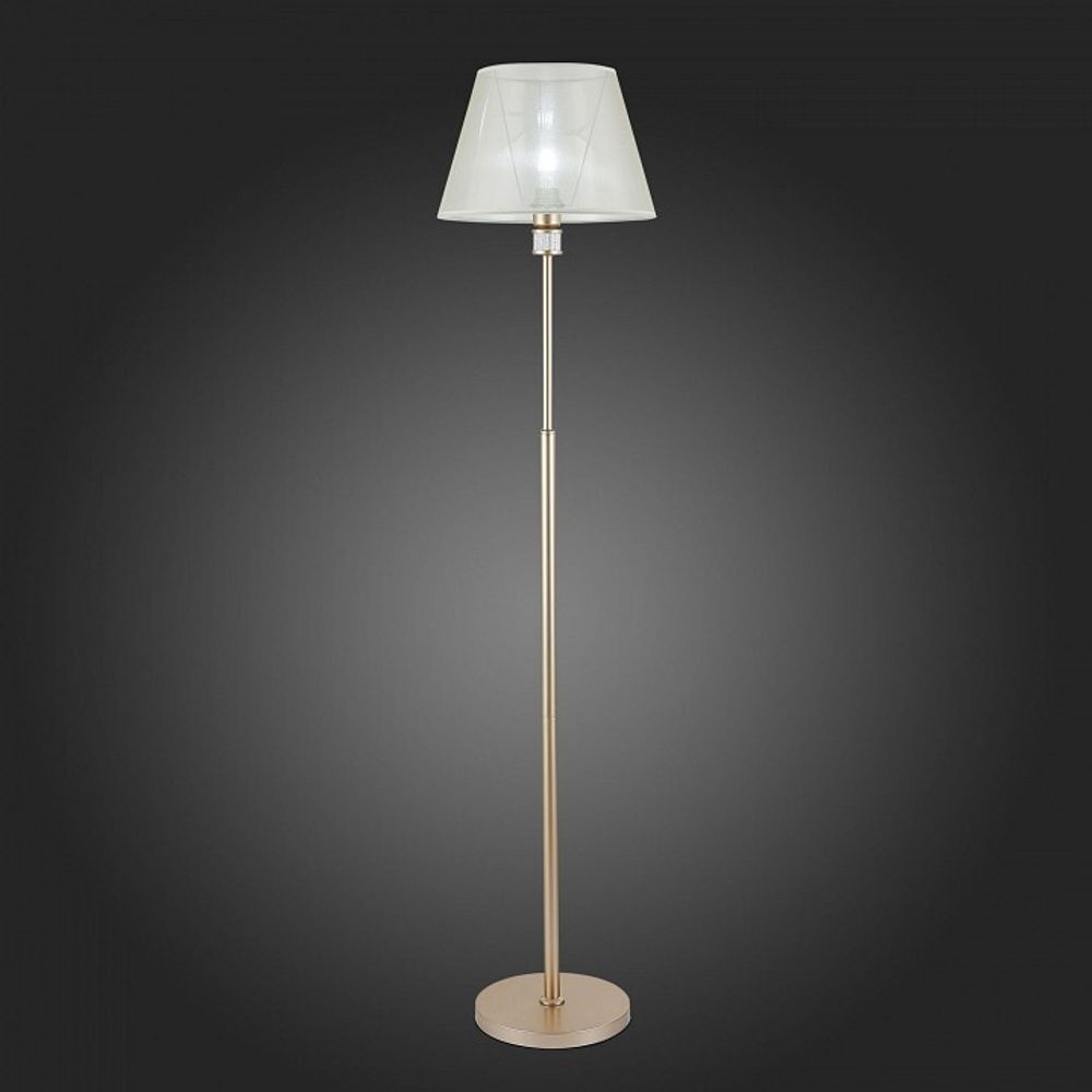 Торшер EVOLUCE Manila SLE107505-01