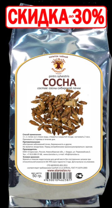 Сосновые почки