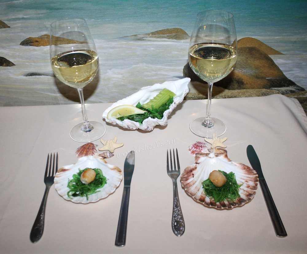 Ракушки морской гребешок Пектен Албикан для ресторана