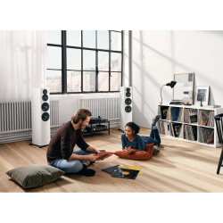 Напольная акустика Dynaudio Emit 50