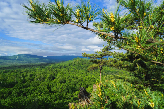Дальний Восток. Физическая карта
