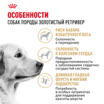 Royal Canin Golden Retriever Голден (золотой) Ретривер Эдалт Корм сухой для взрослых собак породы Голден Ретривер 3кг