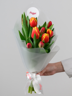 Тюльпаны микс