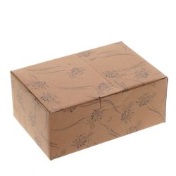 GAEM Шкатулка для украшений (музык.), L22 W12 H9 см