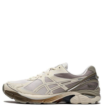Кроссовки Asics x Dime Gt-2160 "Arctic Wolf"