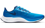 Кроссовки Nike Pegasus 37