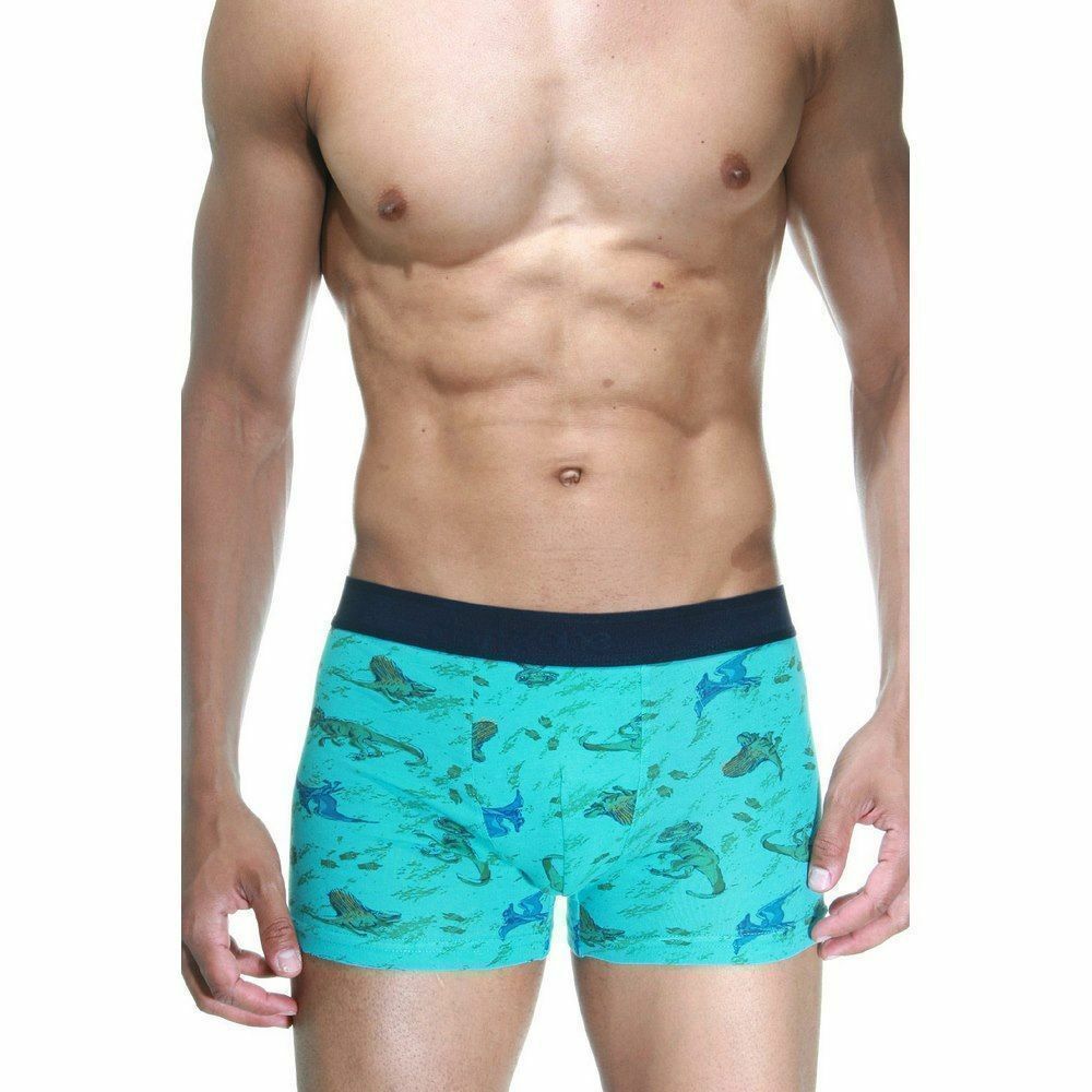 Трусы мужские боксеры голубые с принтом DARKZONE DZN2638