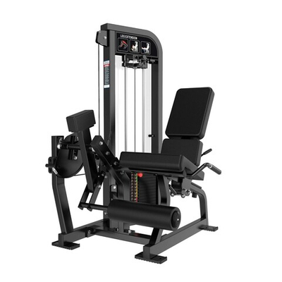 Разгибание ног сидя Protrain CP113