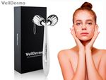 WellDerma Face Lifting Dark Silver Roller