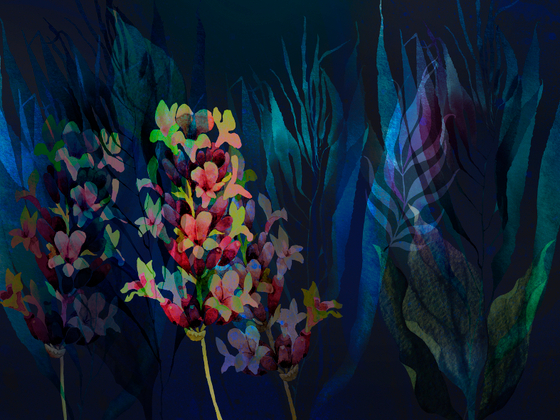 Коллекция AQUA DE VIDA