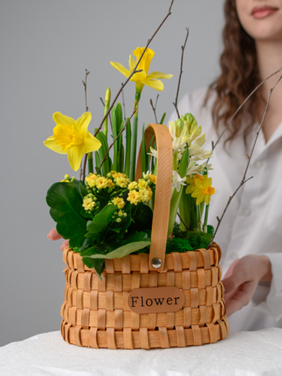 Аромат солнца