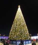 Уличная Гирлянда БЕЗ режимов "Классик одноцветный" (24В) для уличных елок от 3 до 15 м