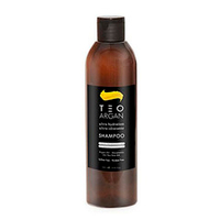 Шампунь с Аргановым маслом Teotema Argan Shampoo 250мл