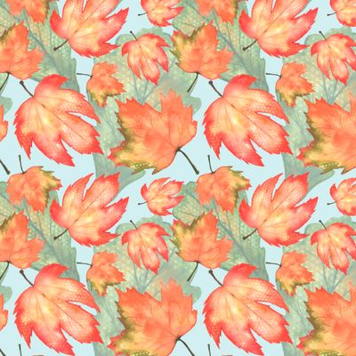 кленовые листья на голубом фоне